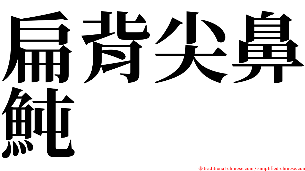 扁背尖鼻魨 serif font