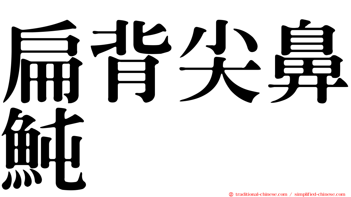 扁背尖鼻魨