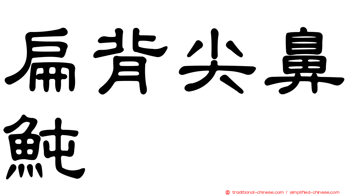 扁背尖鼻魨