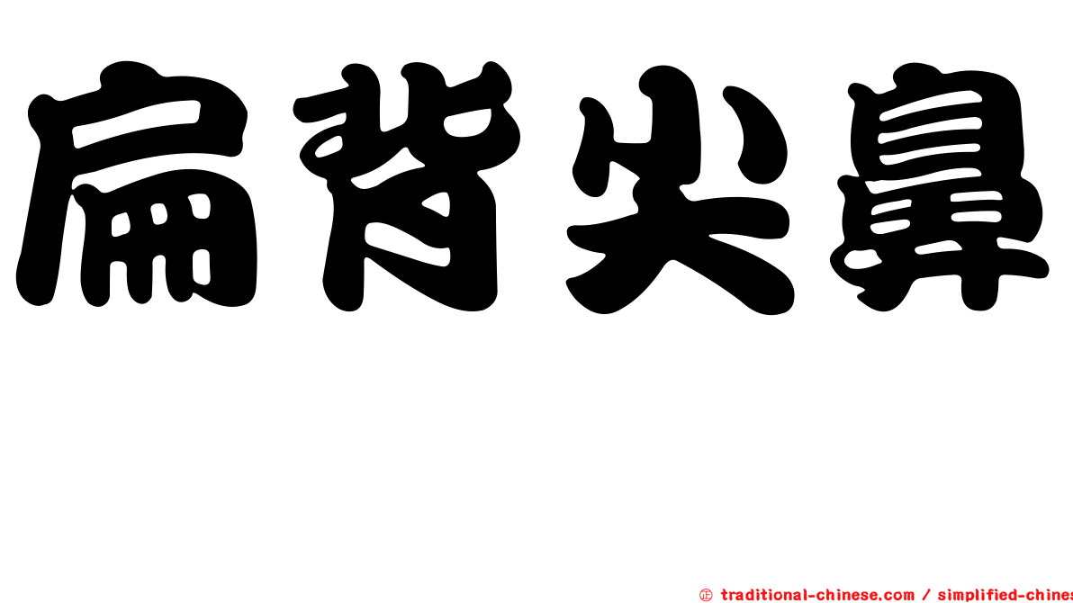 扁背尖鼻魨