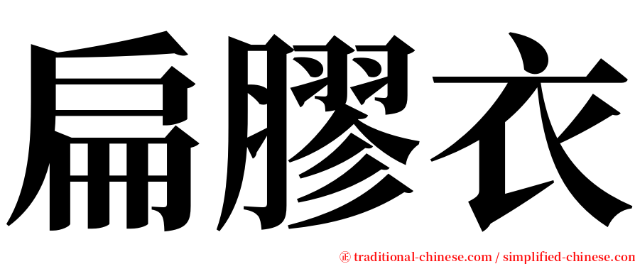 扁膠衣 serif font