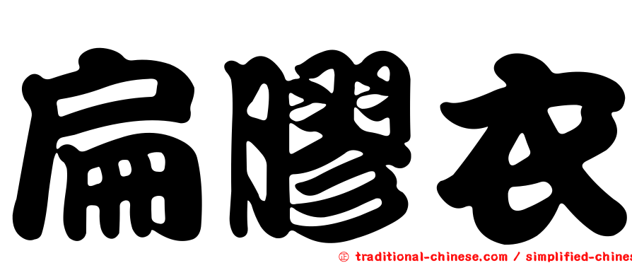 扁膠衣
