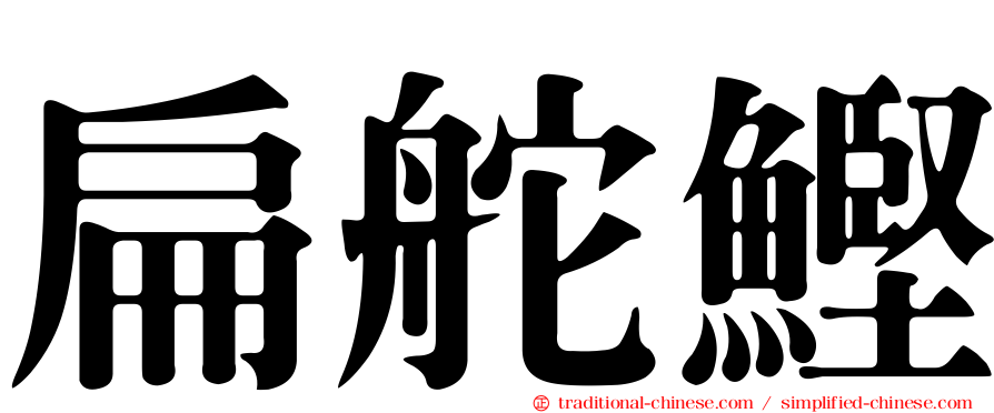 扁舵鰹