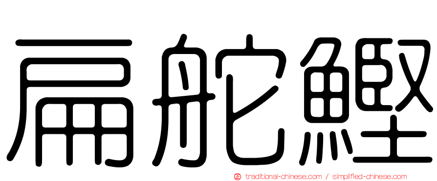 扁舵鰹