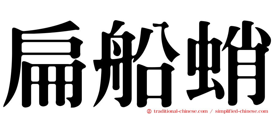 扁船蛸