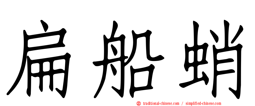 扁船蛸