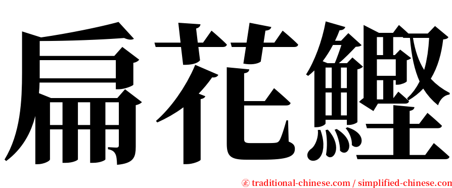 扁花鰹 serif font
