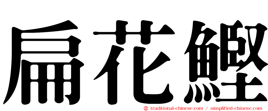 扁花鰹