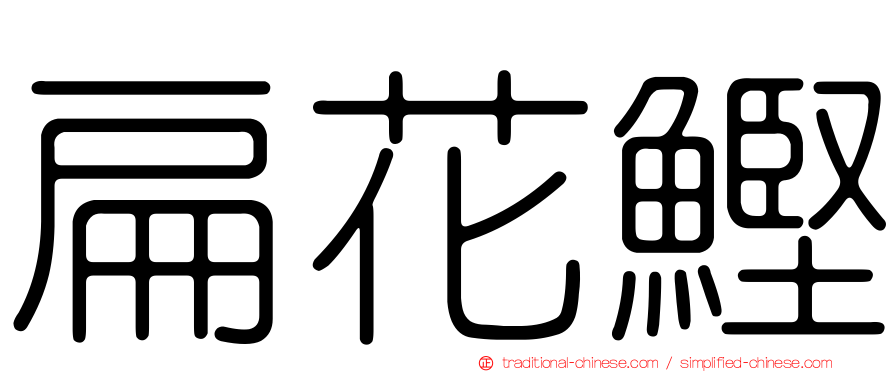 扁花鰹
