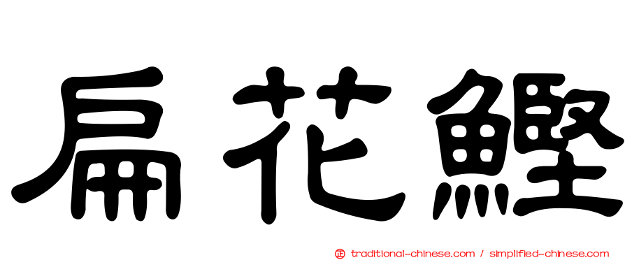 扁花鰹
