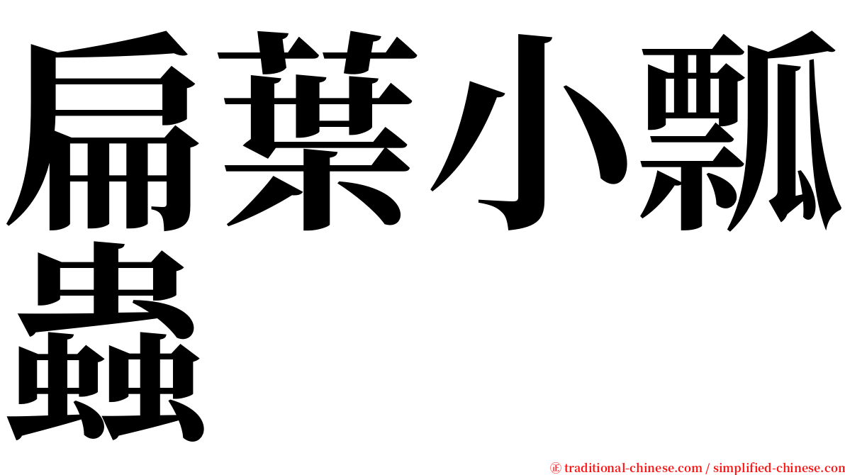 扁葉小瓢蟲 serif font