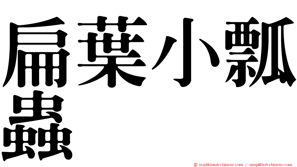 扁葉小瓢蟲