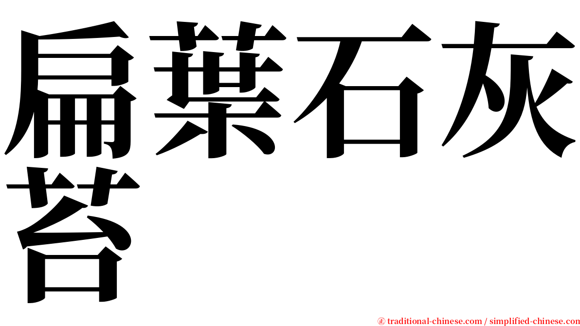 扁葉石灰苔 serif font