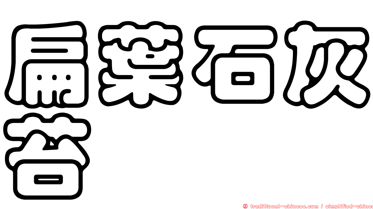 扁葉石灰苔
