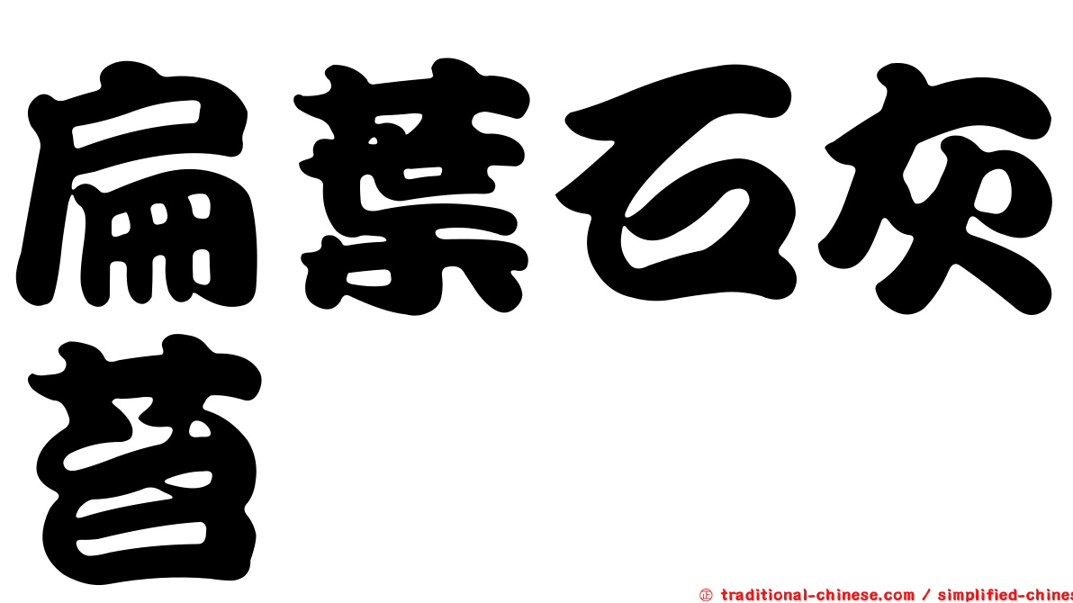 扁葉石灰苔