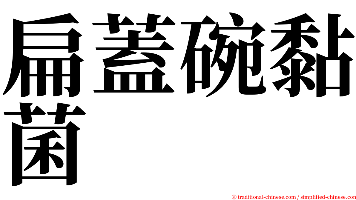 扁蓋碗黏菌 serif font