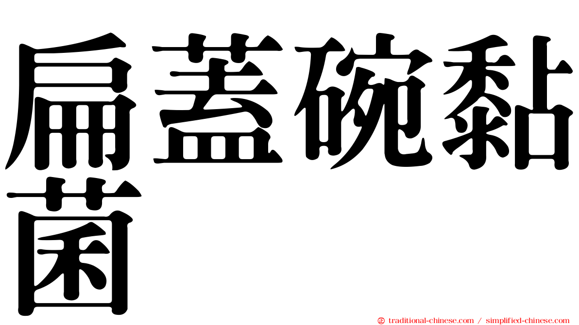 扁蓋碗黏菌