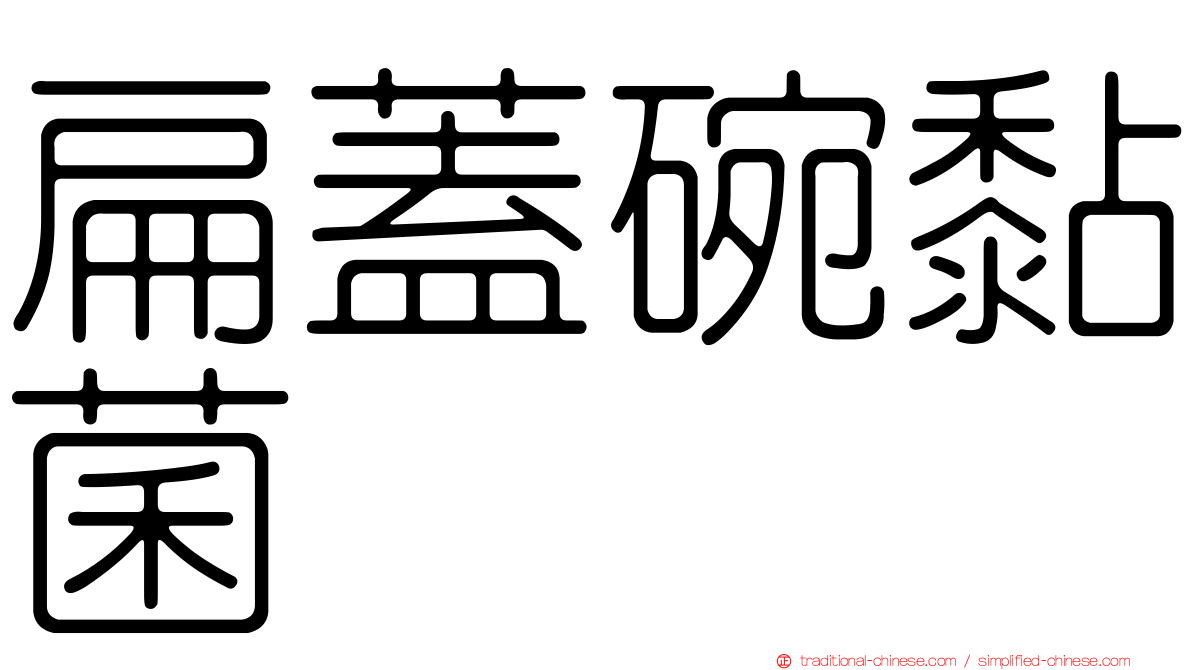 扁蓋碗黏菌