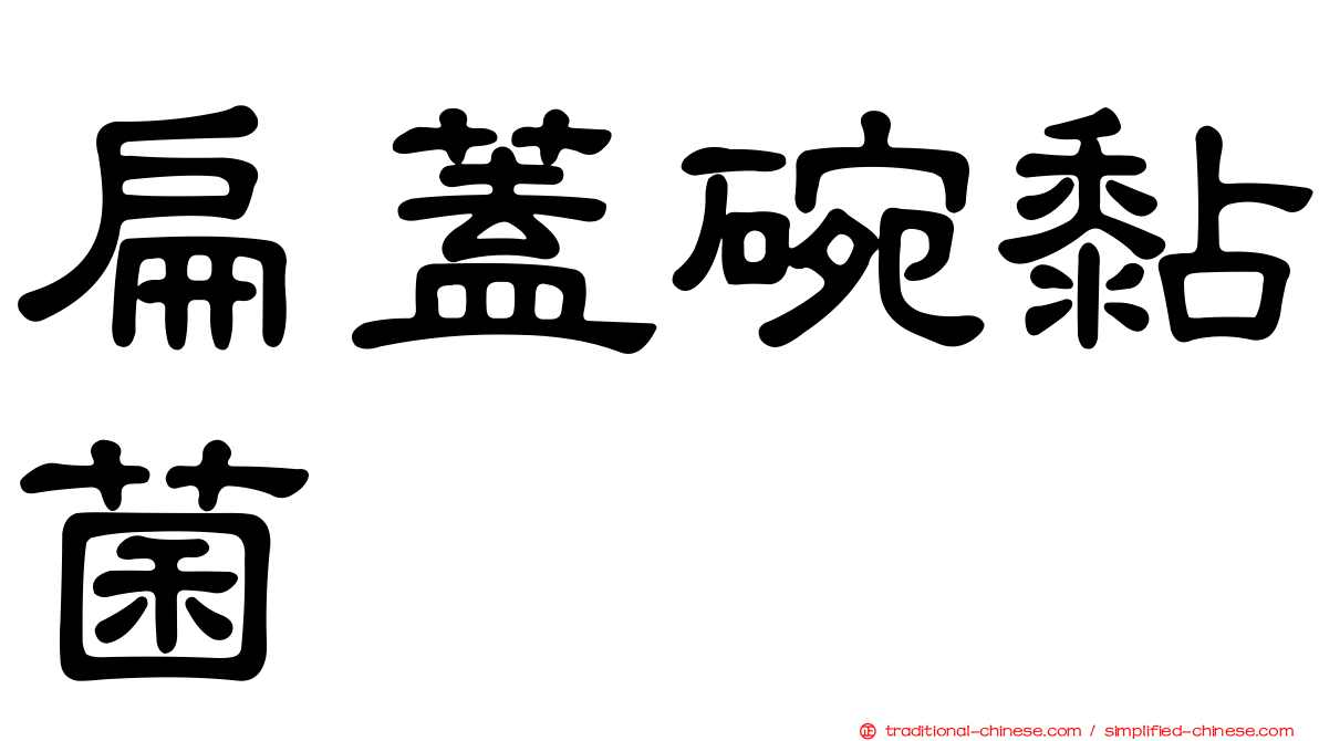 扁蓋碗黏菌