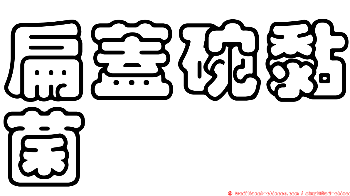 扁蓋碗黏菌
