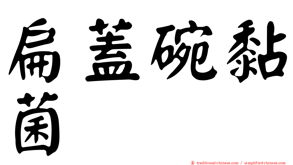 扁蓋碗黏菌