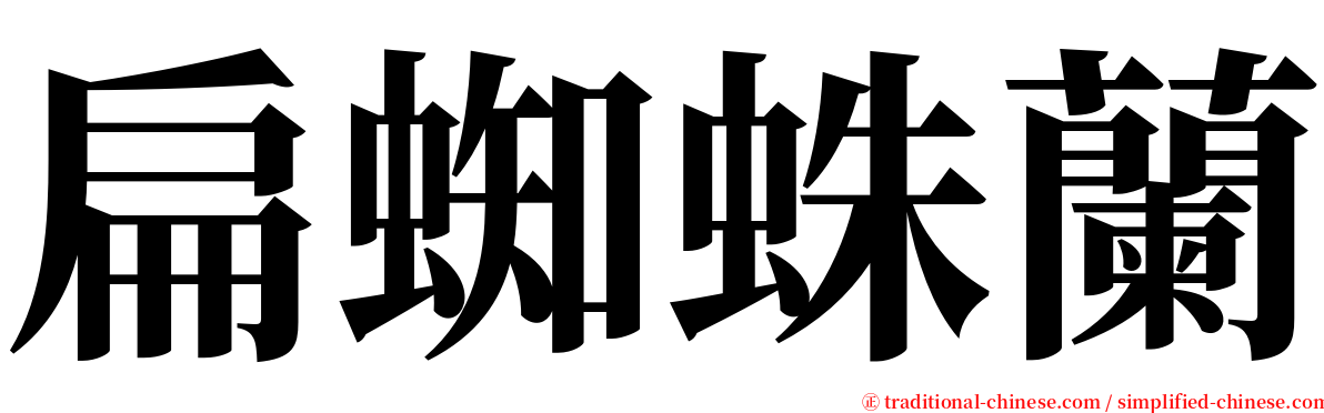 扁蜘蛛蘭 serif font