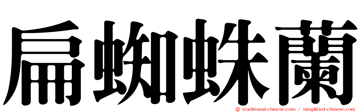 扁蜘蛛蘭