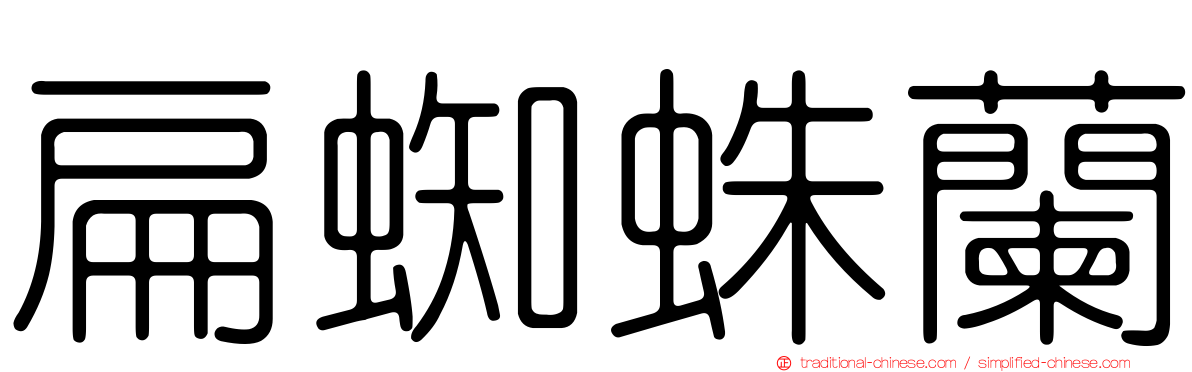 扁蜘蛛蘭