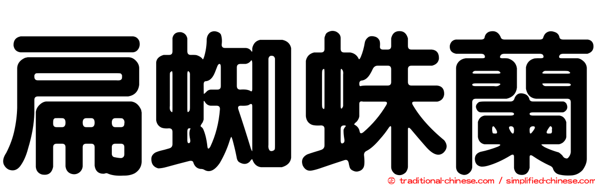 扁蜘蛛蘭