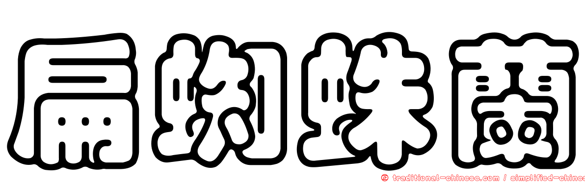 扁蜘蛛蘭