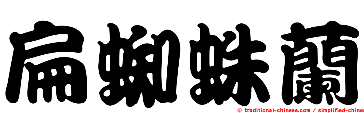 扁蜘蛛蘭