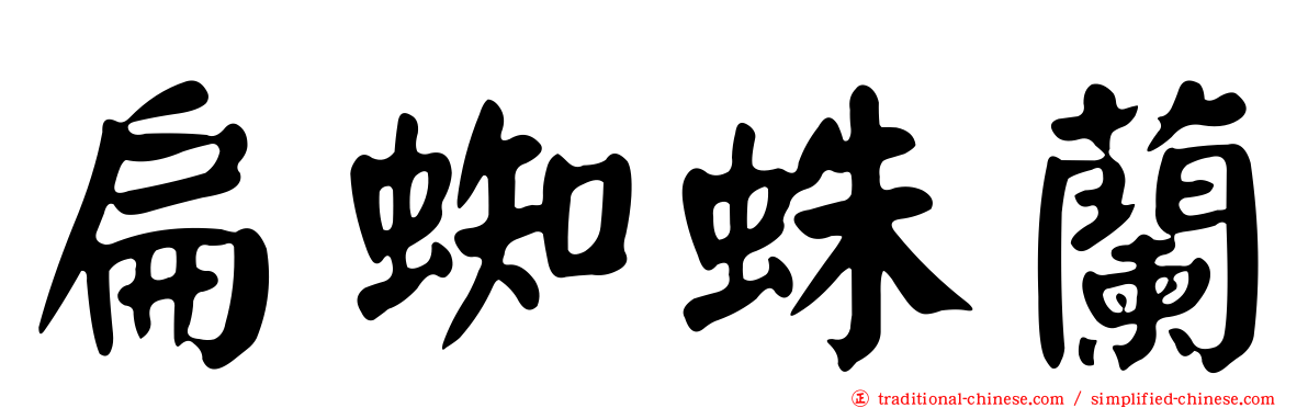 扁蜘蛛蘭