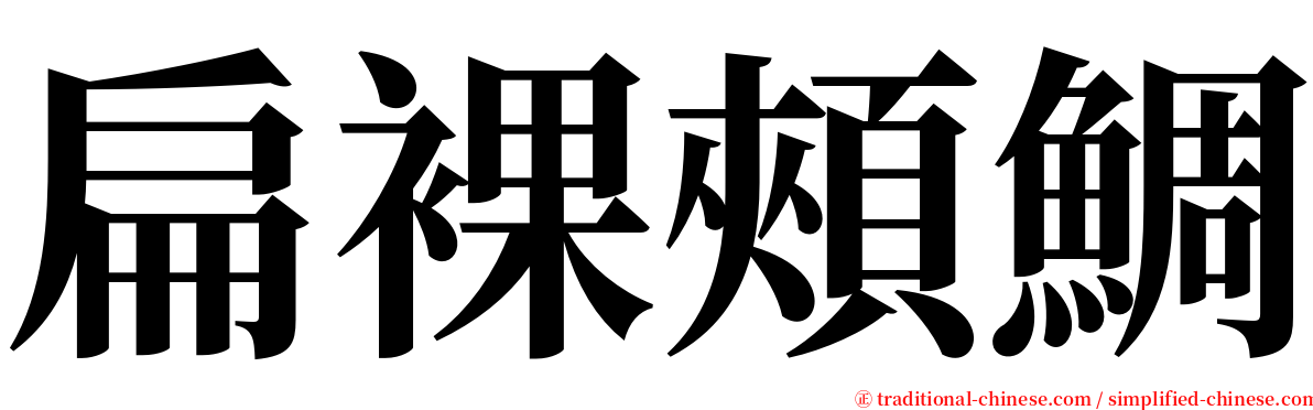 扁裸頰鯛 serif font