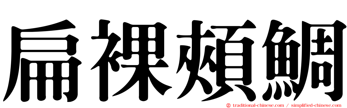 扁裸頰鯛