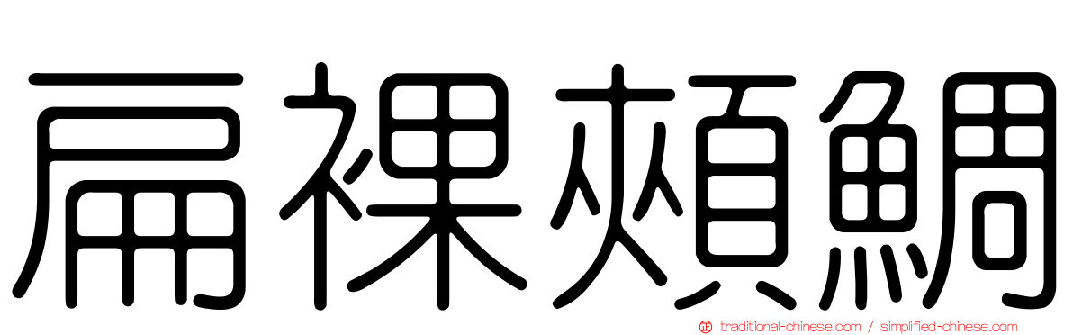 扁裸頰鯛
