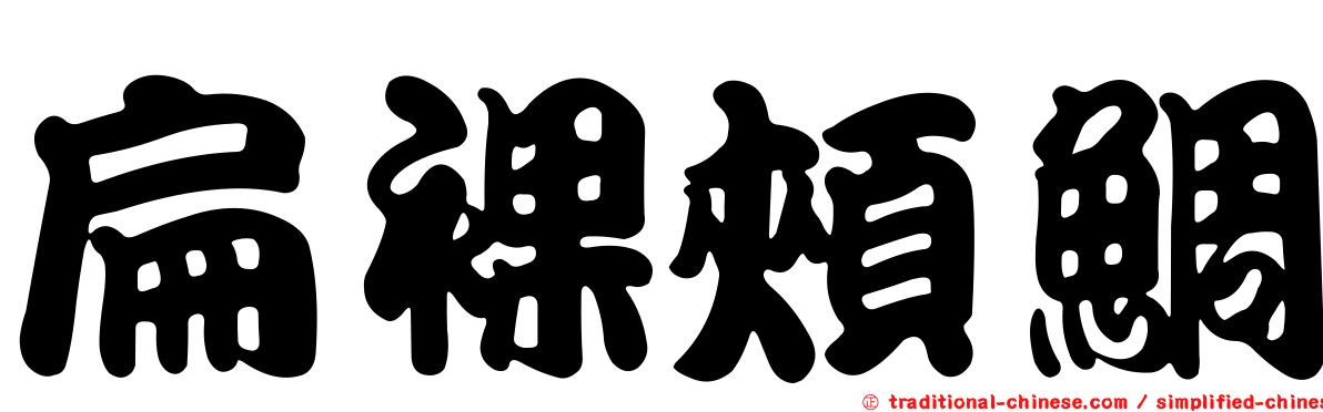 扁裸頰鯛