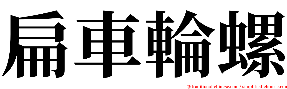 扁車輪螺 serif font