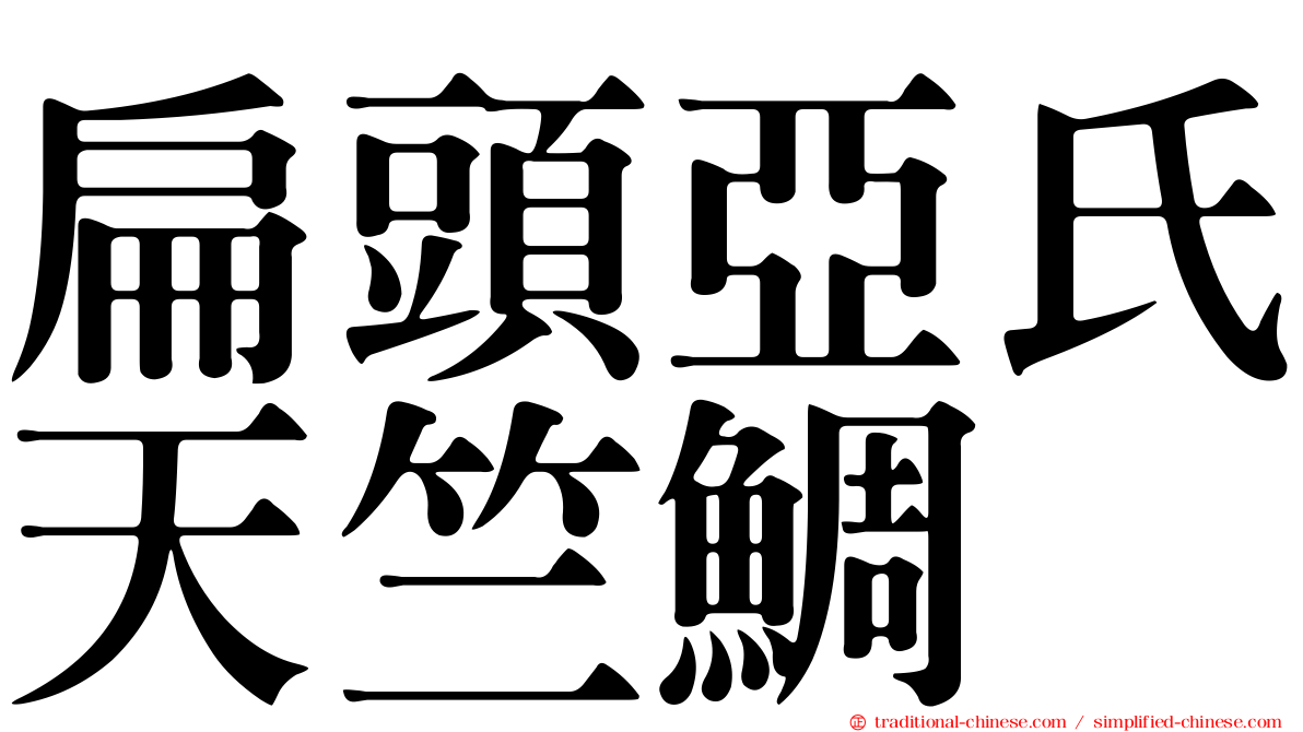 扁頭亞氏天竺鯛