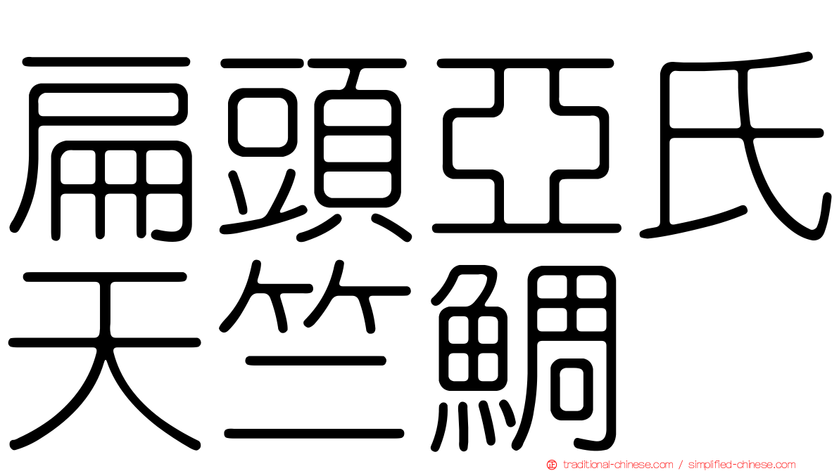 扁頭亞氏天竺鯛