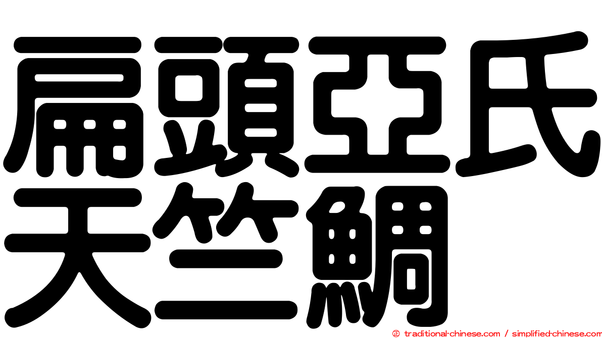 扁頭亞氏天竺鯛