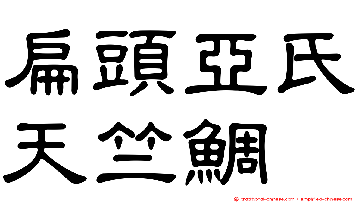 扁頭亞氏天竺鯛