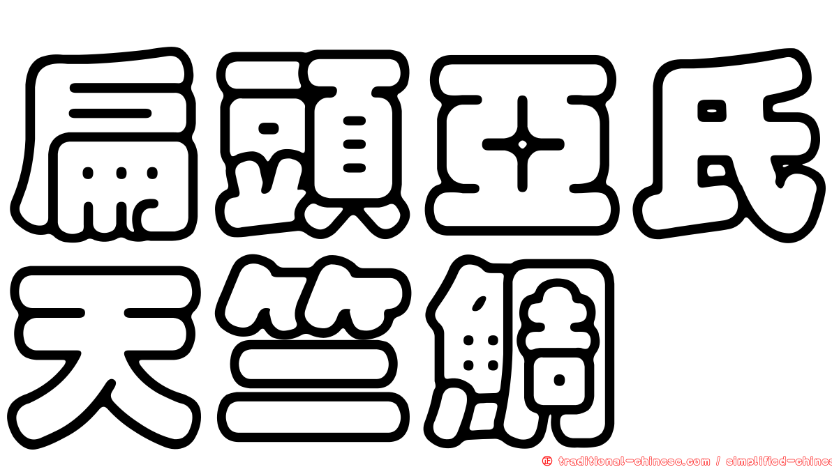 扁頭亞氏天竺鯛