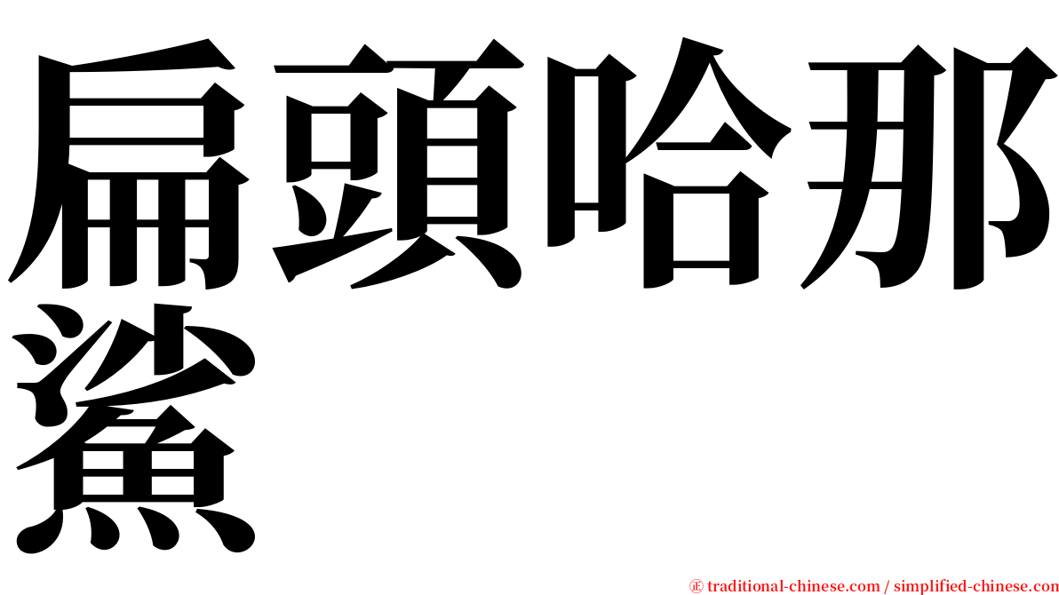 扁頭哈那鯊 serif font