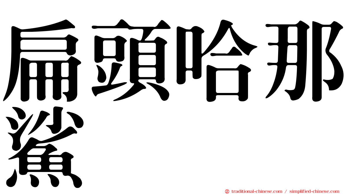扁頭哈那鯊