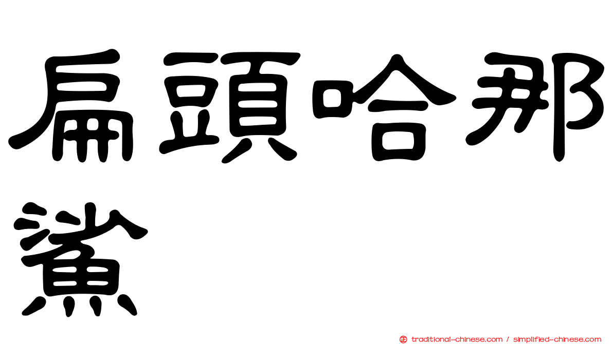 扁頭哈那鯊