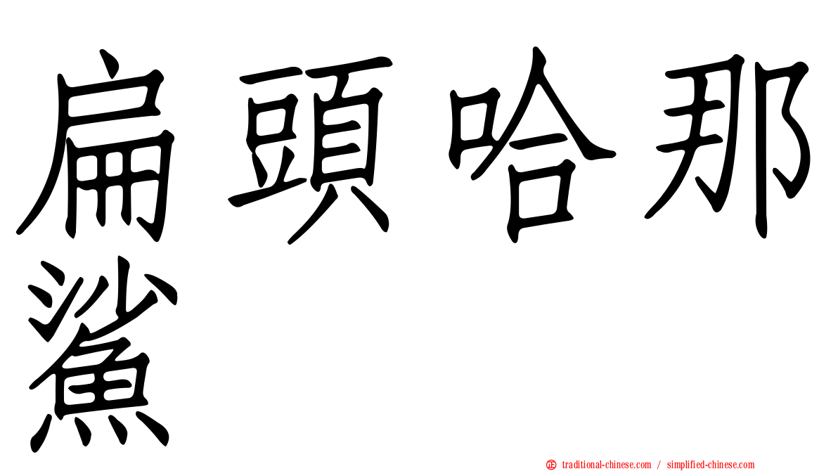 扁頭哈那鯊