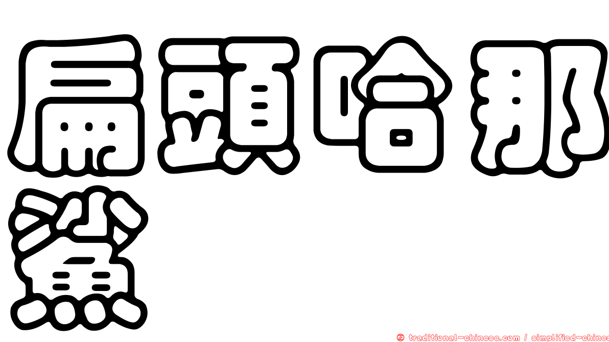 扁頭哈那鯊