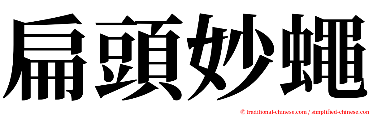扁頭妙蠅 serif font