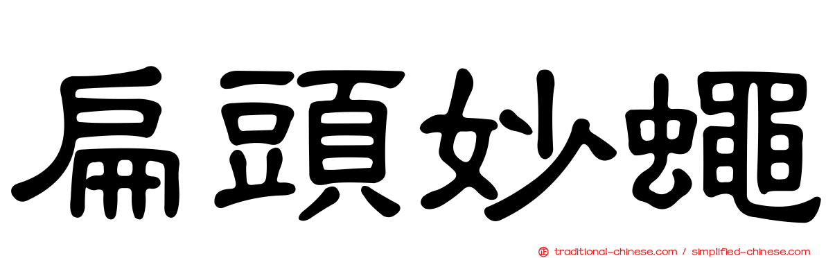 扁頭妙蠅
