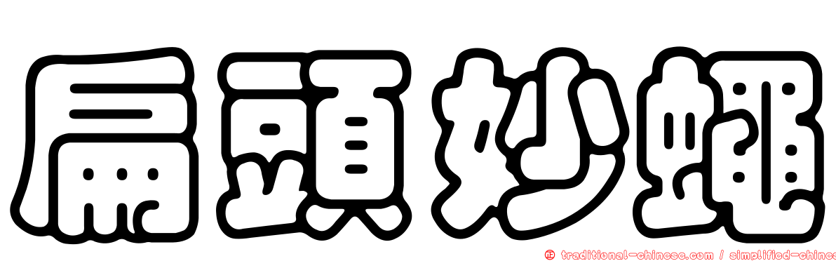 扁頭妙蠅